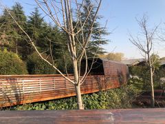 -昆山城市生态森林公园