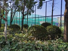 -体汇+名都体育公园足球场