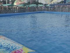 -海合安武汉极地海洋公园