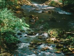 -广州市石门国家森林公园