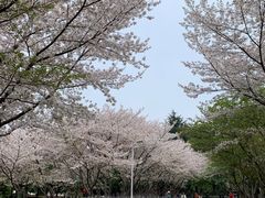 -白塘生态植物园