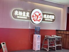 -海岛八号龙虾烧烤田鸡(蓝天路总店)