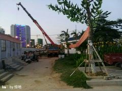 -金鸡岭桥头公园