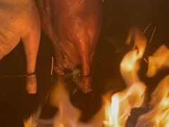 -鹅掂·大岭山烧鹅