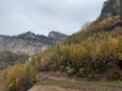 -红崖峡谷景区
