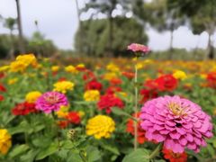 -艾溪湖湿地公园