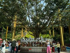 -西双版纳勐泐文化旅游区