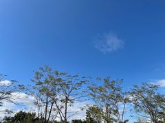 -乐凯撒披萨(东方新世界店)