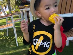 -三亚海棠湾万丽度假酒店