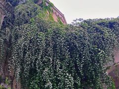 -府河摄影公园