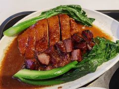 烧鸭叉烧双拼饭-百事佳烧鸭牛腩(上海虹桥站店)