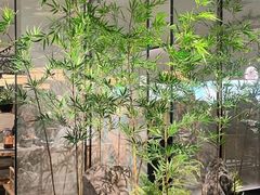 -绿茶餐厅(光谷世界城步行街店)