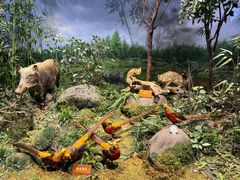 -陕西自然博物馆