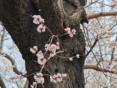 -吉林大学(南岭校区)