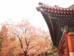 -香山公园