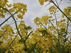 -中国天府农业博览园