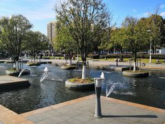 -白塘生态植物园