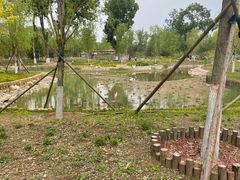 -莲花池公园