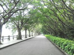 -大湾区中央湿地公园