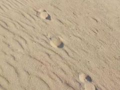 -南戴河国际娱乐中心