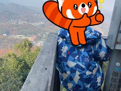 -九曜山