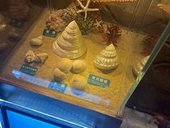 -梦幻海洋王国(吾悦广场张家港店)
