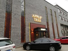 -苹果树下艺术餐厅(宋庄店)