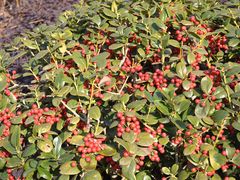 -岳辰齿科(浦东长泰店)