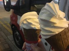 -富豪雪糕车流动点(尖沙咀)