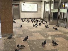 -老阿尔巴特大街