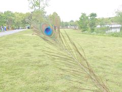 -东平国家森林公园