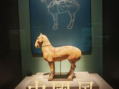 -青州市博物馆