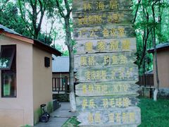 -象山森林公园