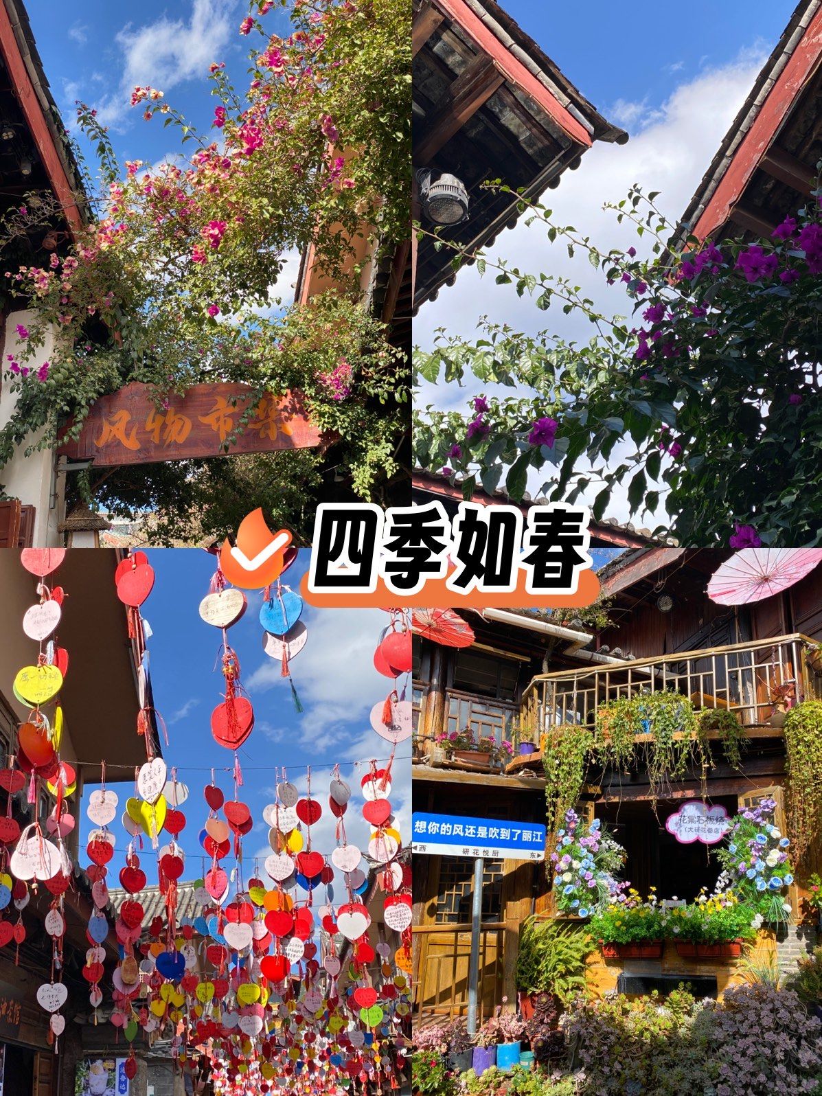 云南果真四季如春