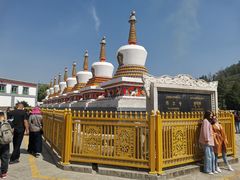 -塔尔寺