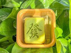 -沁园(南坪上海城店)