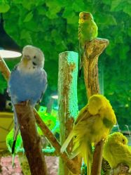 -酷嗒动物文化乐园(cutezoo西溪乐天城店)