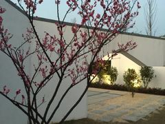 -武汉园博园(武汉自然博物馆)