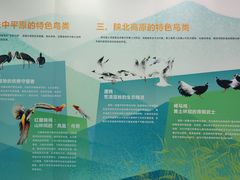 -陕西科学技术馆