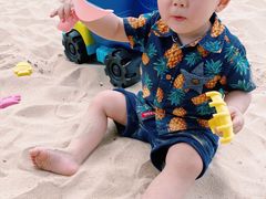 -上海佘山世茂艾美酒店
