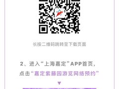 -嘉定紫藤园