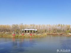 -合肥滨湖国家森林公园