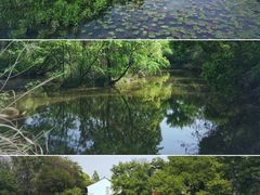 -西溪国家湿地公园