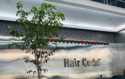 -Hair Code芭曲发型