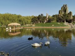 -北京野生动物园