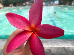 -龙达温泉生态城