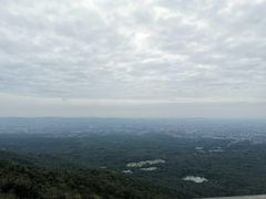-紫金山山顶公园