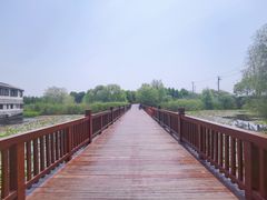-苏州太湖国家湿地公园