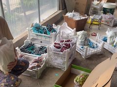 -马陆小张葡萄园农家乐