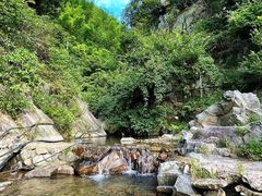 -莫干山风景区